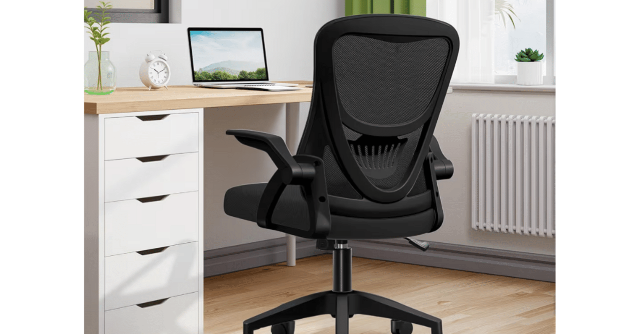 2026年最新】EdoErgoオフィスチェアを徹底レビュー!テレワークで疲れ