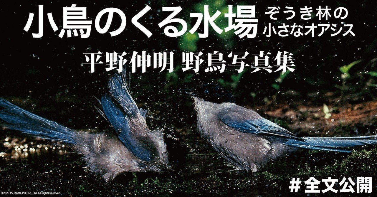 リモージュのとても可愛い鳥とタッセル付ゴールドケージのリモージュ 