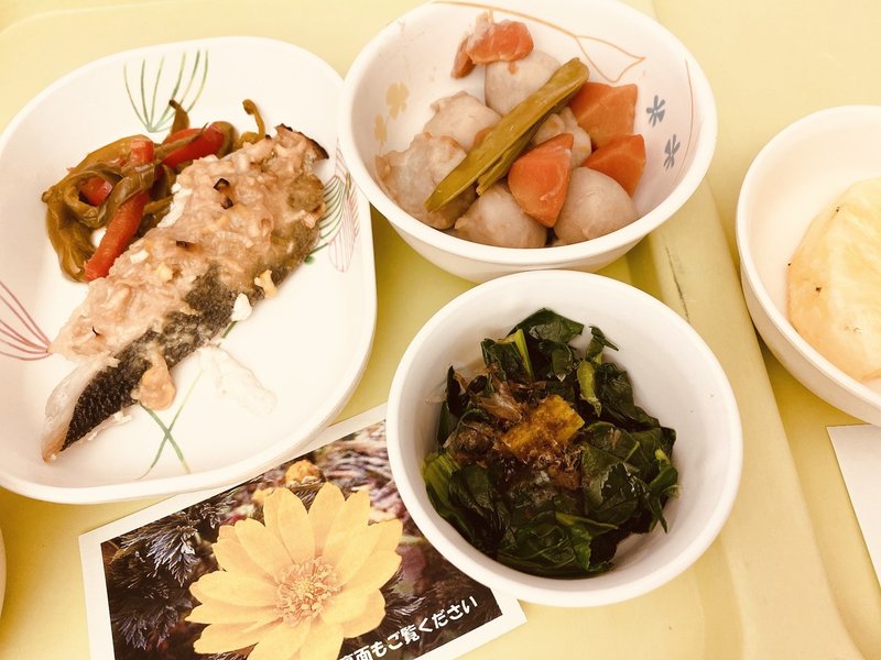 手首と背骨の骨折で入院していた時のこと 花咲るちあ Note