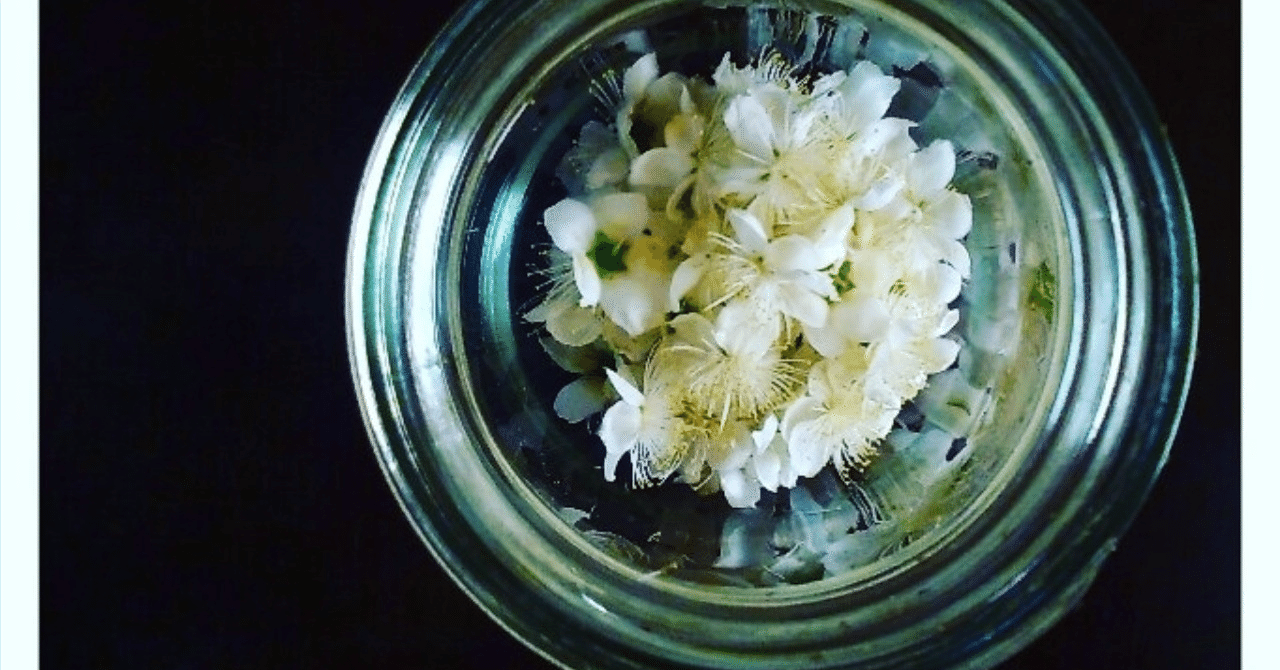 「土用」のアロマテラピー。植物の形状や採油部位の役割、色の周波数を香りとともにエネルギーとして受け取ろう。｜佐藤三知代（トロワ）