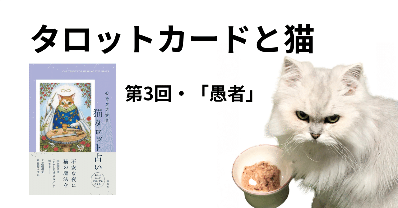 タロットカードと猫〜第3回「愚者」飼い主は猫の下僕｜高橋桐矢