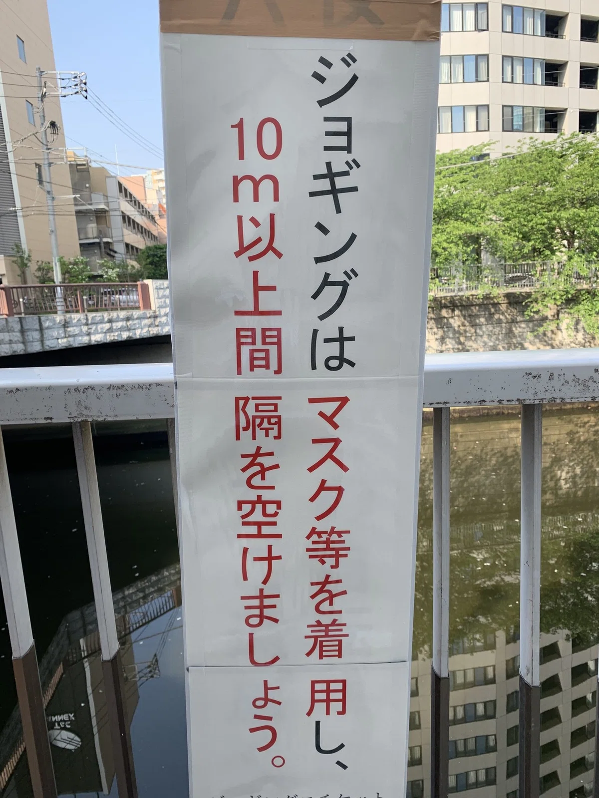 画像15