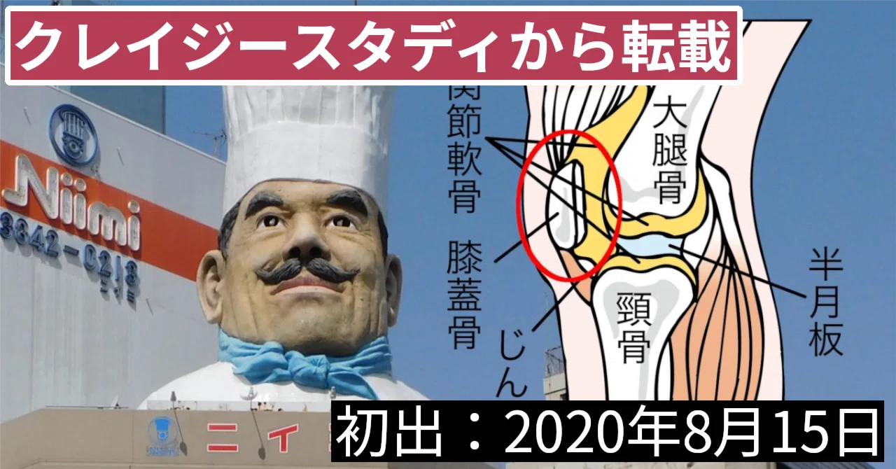 コックさんの「ひざのお皿」を買う【ニイミ洋食器店】｜イワサ フクイチ