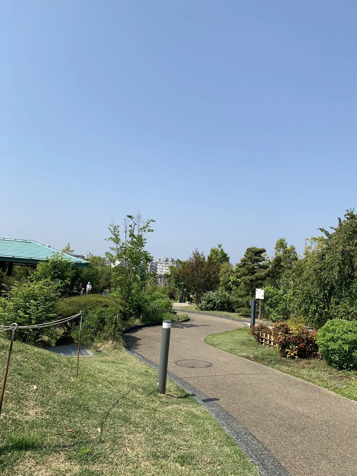 画像16