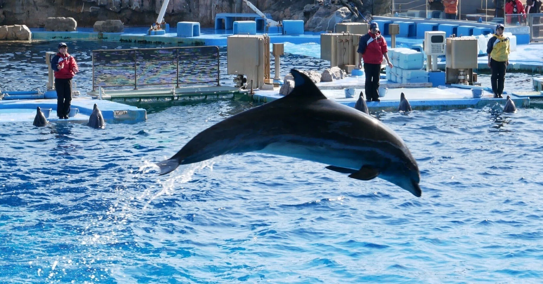654 名古屋港水族館で、心をほどく冬のひととき｜ミヤコカエデ（Miyako