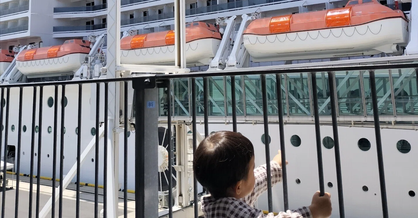 妊娠 中 旅行 後悔