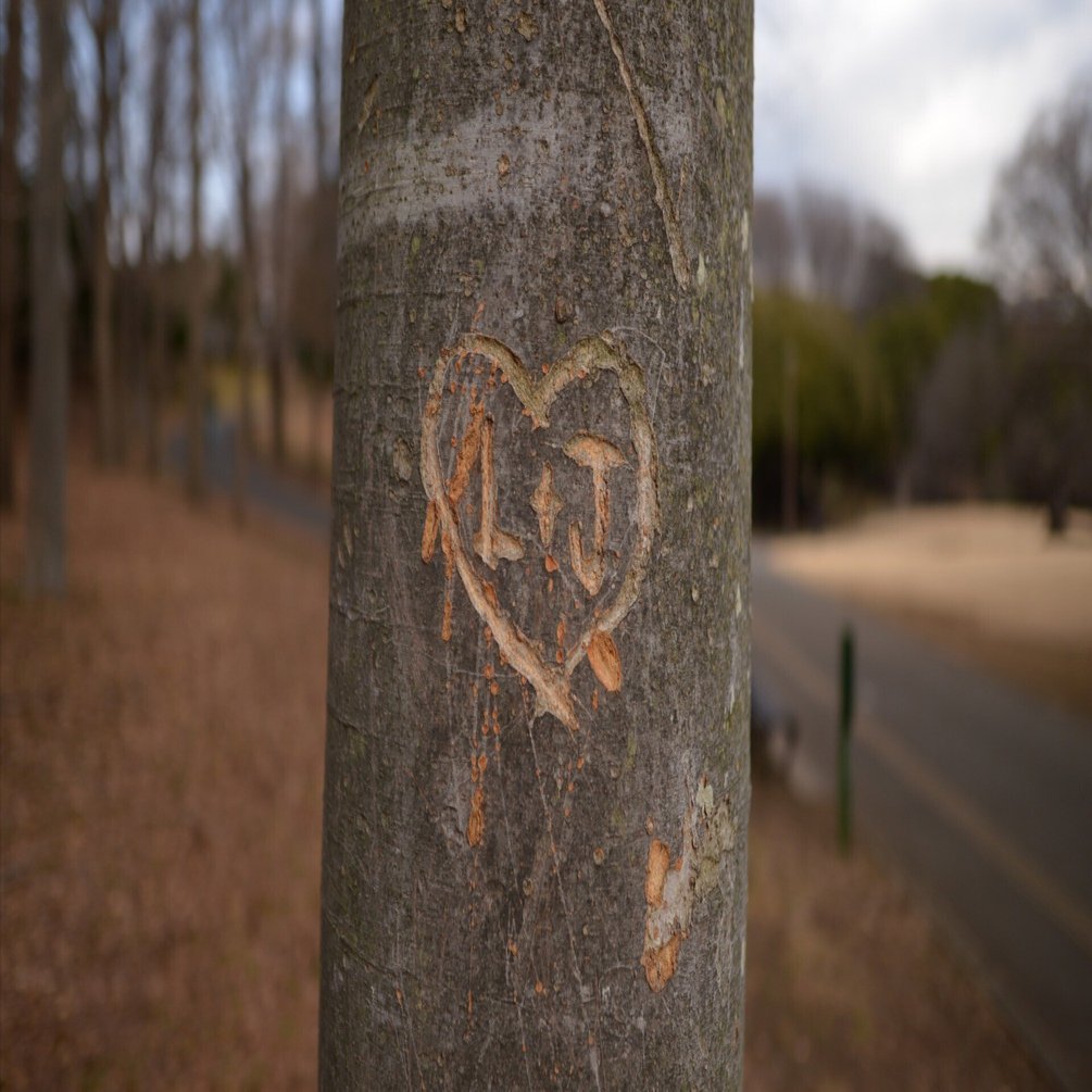 2012年の名機Nikon D4 vs 2026年の最新スマホOPPO Find X9。撮り比べて