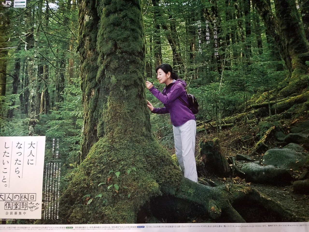 吉永小百合　特大ポスター 　青森弘前◆大人の休日倶楽部　ＢＯ特大非売品ポスター 吉永小百合 特大ポスター 青森弘前◇大人の休日倶楽部 BO特大