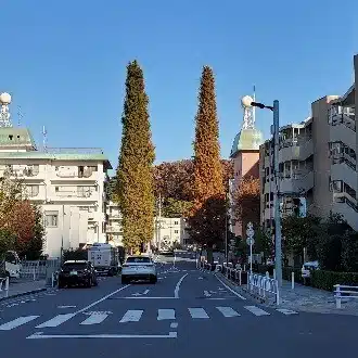 未定