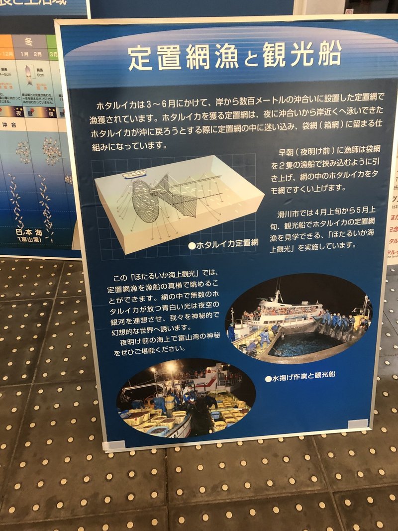 園館等訪問ルポ きときとかがやく 光は観えるか ほたるいかミュージアム 滑川漁港 富山県滑川市 おらんうーたんになりたい Note