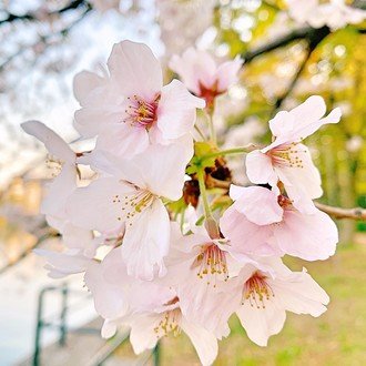 クリープハイプ 愛の標識 に関する考察 ゆらり Note