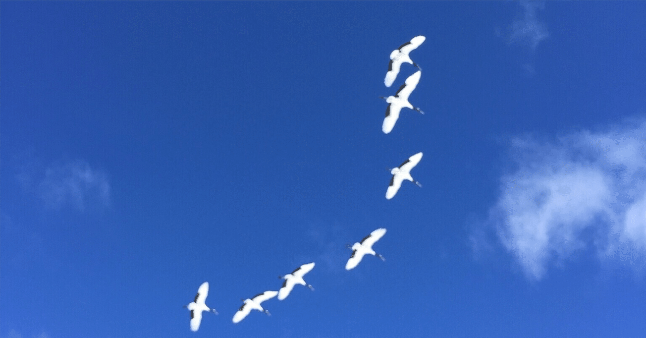 新人ガイドの前に、新社会人である eyecatch