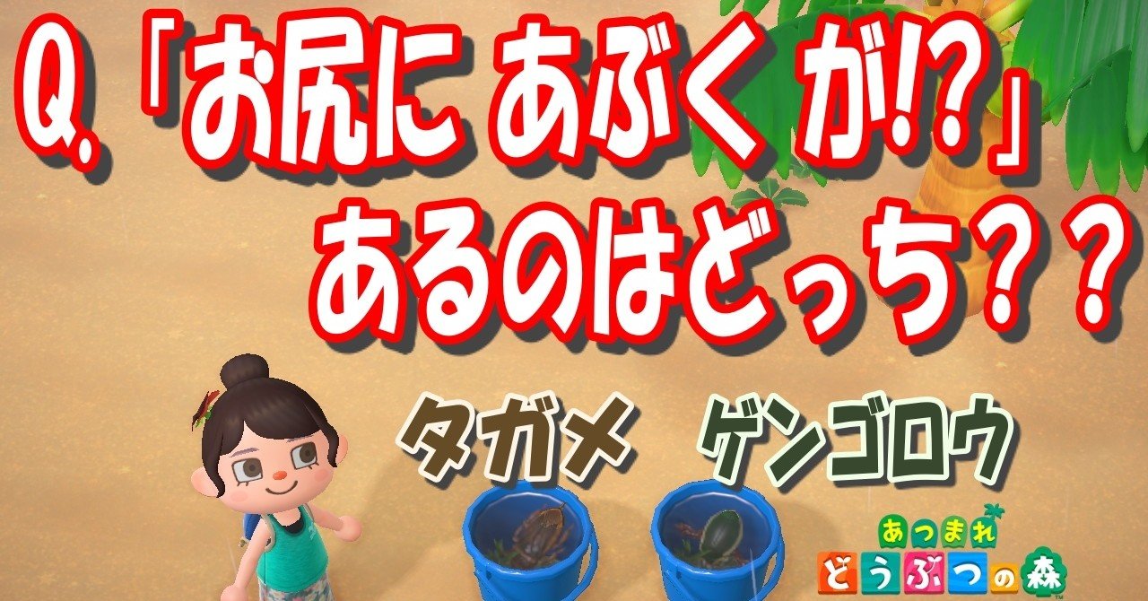 ゲンゴロウ 値段 あつ 森 あつまれ どうぶつの森 値段を比較 最安値はどこ Amp Petmd Com
