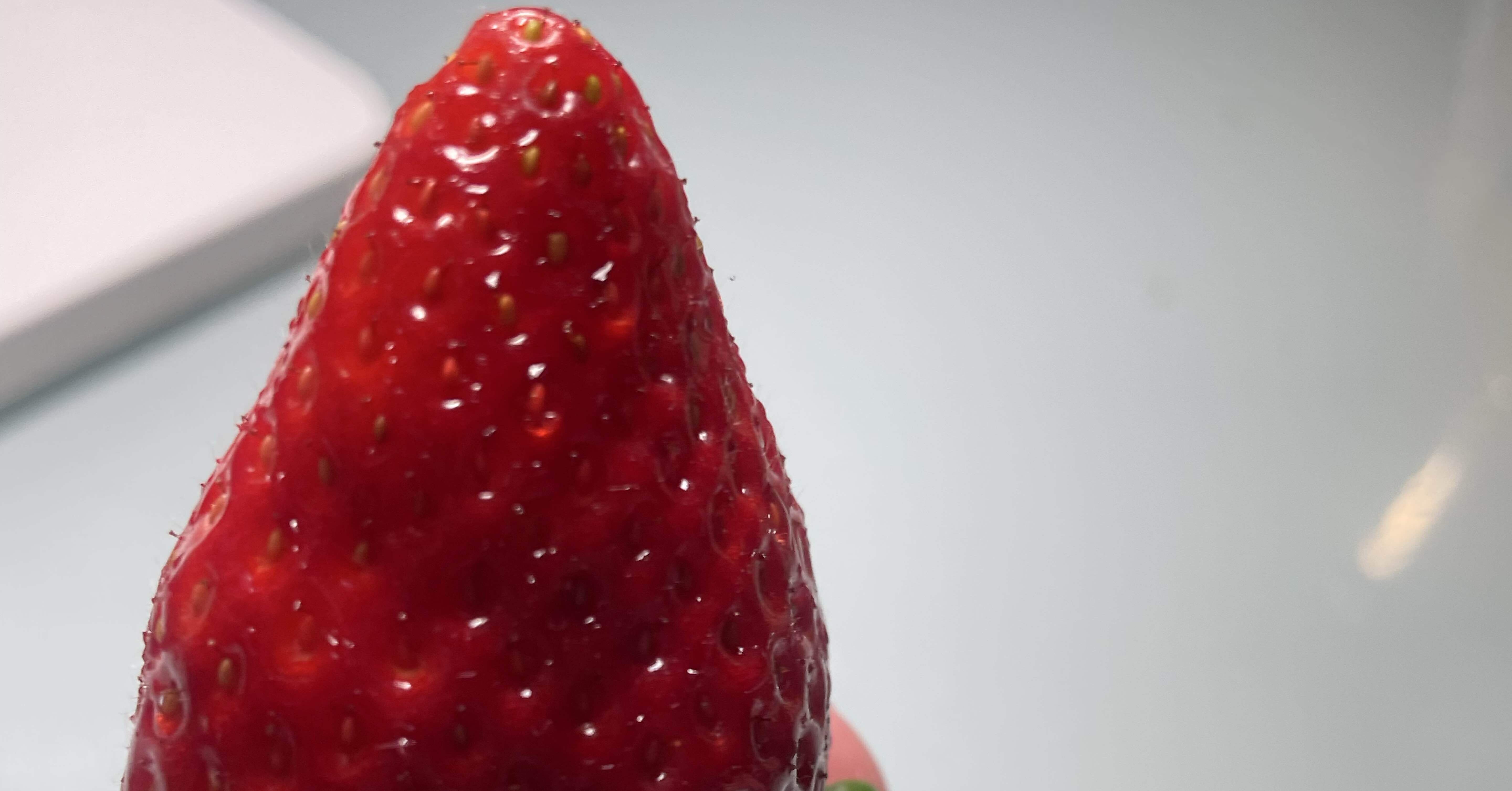 いちご🍓美味しかった〜｜さぼてん