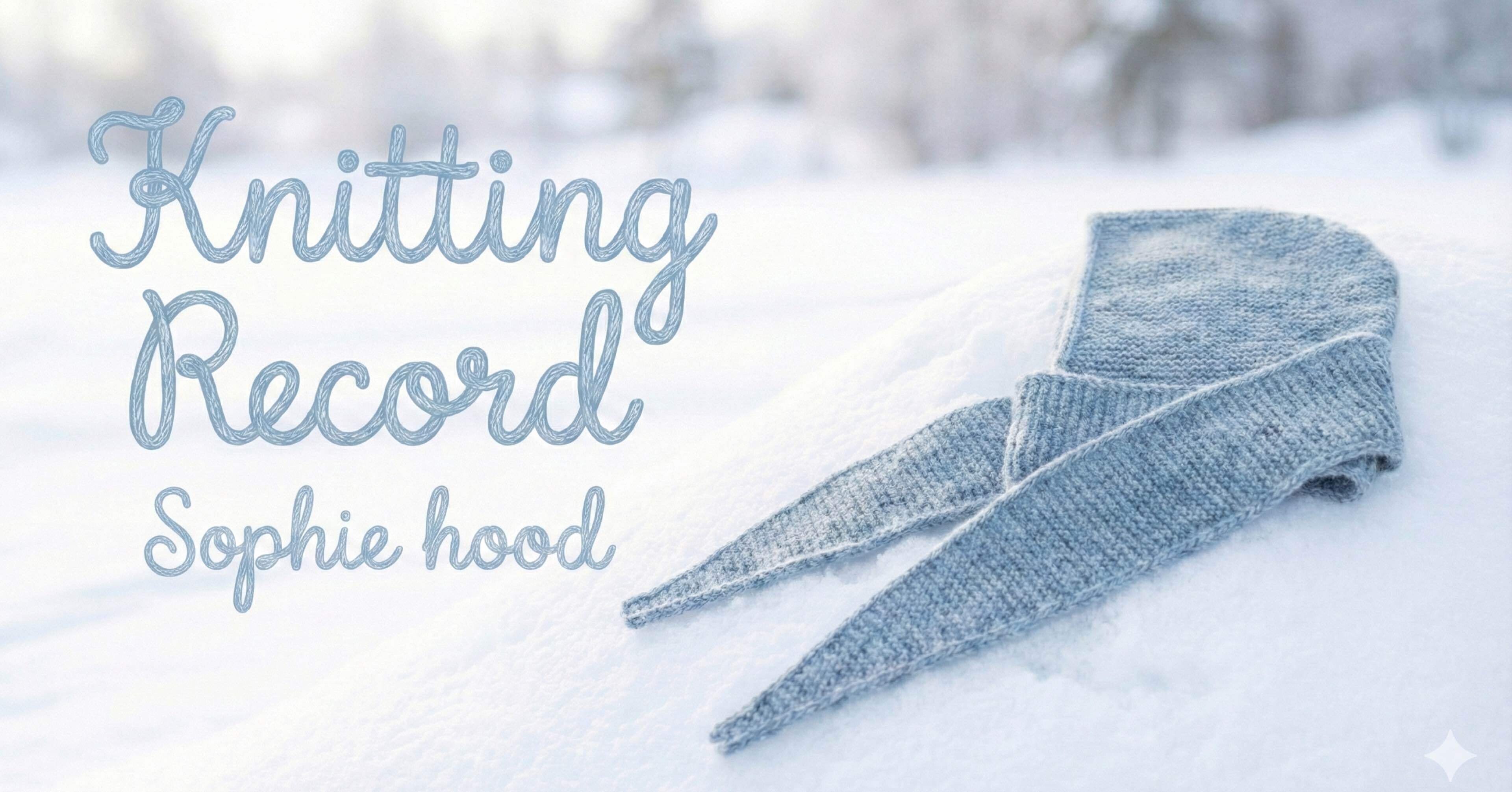 Knitting Record｜Sophie Hoodソフィーフードを編んでみた｜peewee_wm
