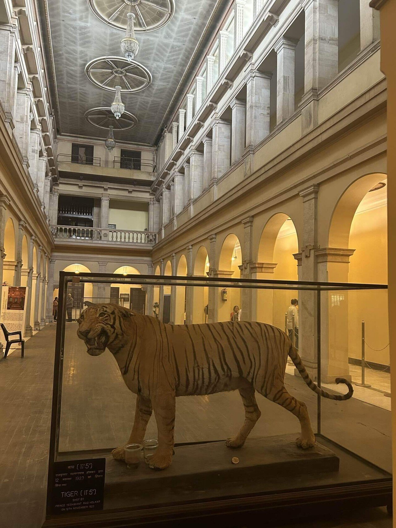 323. opulent の語源～旧藩王宮殿から [*op-]｜mozhi gengo