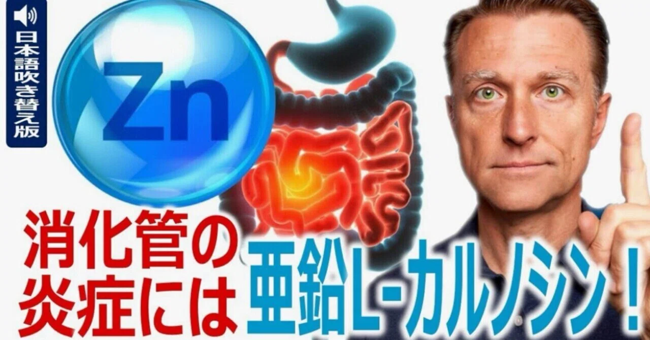 最新｜消化管の炎症には亜鉛L-カルノシン！：ドクター・バーグ