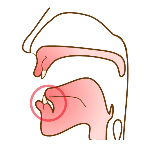 かきくけこ が言えない 音声 画像 トレーニング方法図解付き ことばmama Note