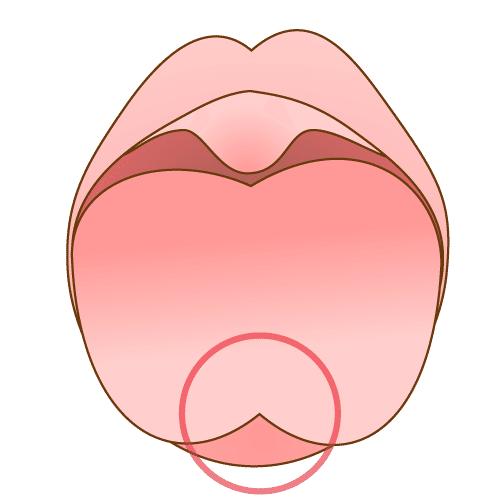 かきくけこ が言えない 音声 画像 トレーニング方法図解付き ことばmama Note