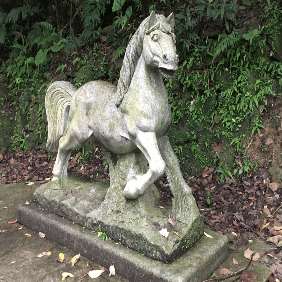 お馬様 出品 お馬さん｜hana