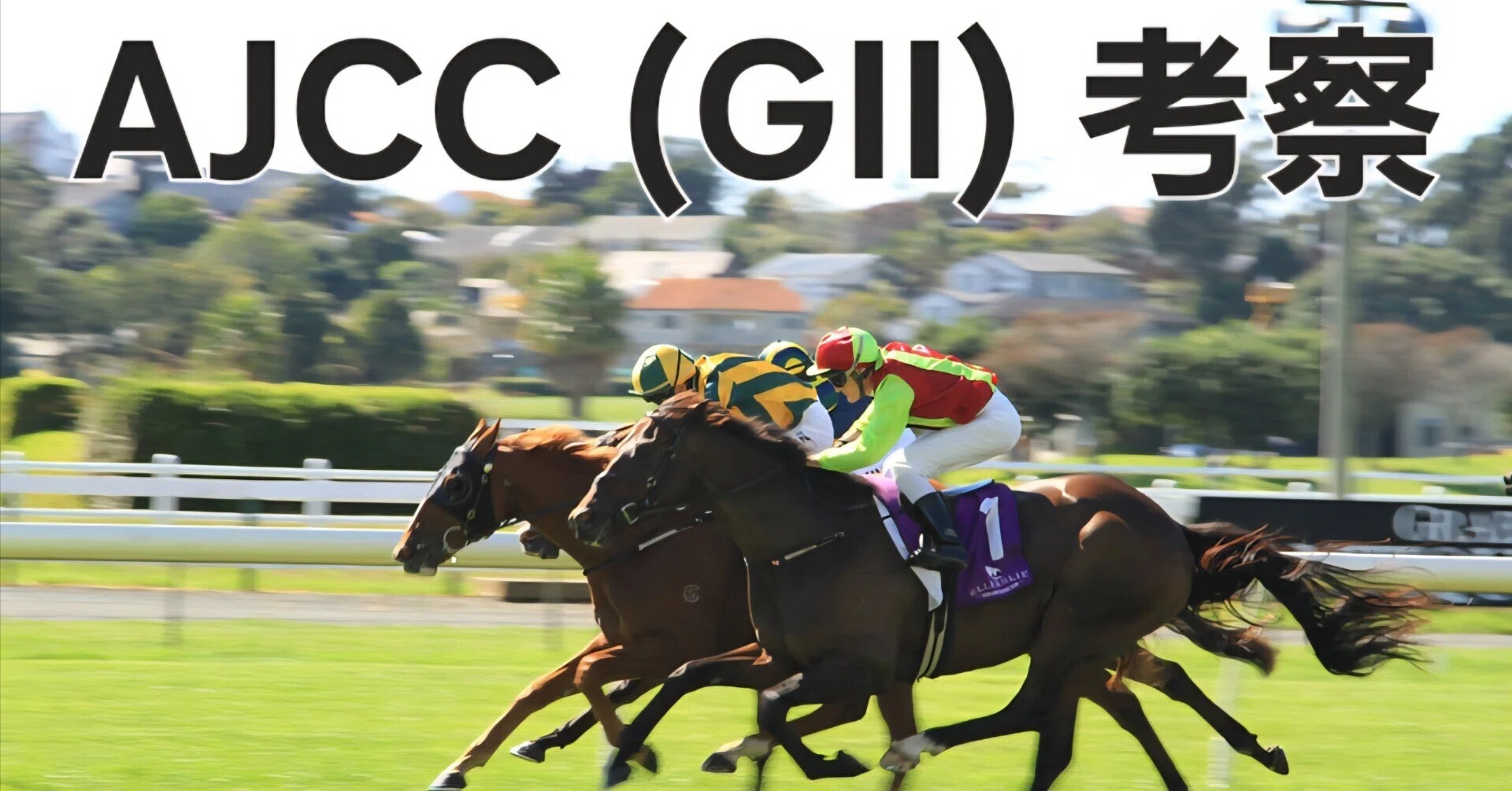 AJCC (GⅡ)】中山芝2200mの非根幹攻略。独自メソッド「三点観測」で