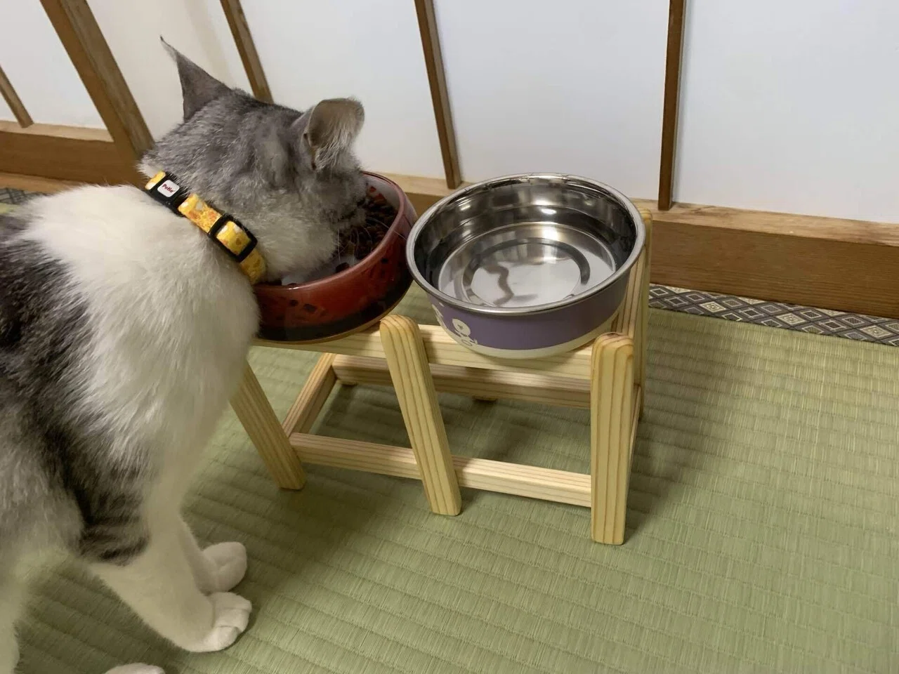 猫の餌台を作ったよ｜あおみかん