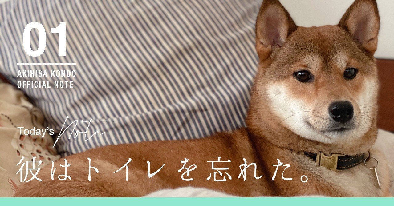 彼はトイレを忘れた 近藤晃央 Note 彼はトイレを忘れた 近藤晃央 Note