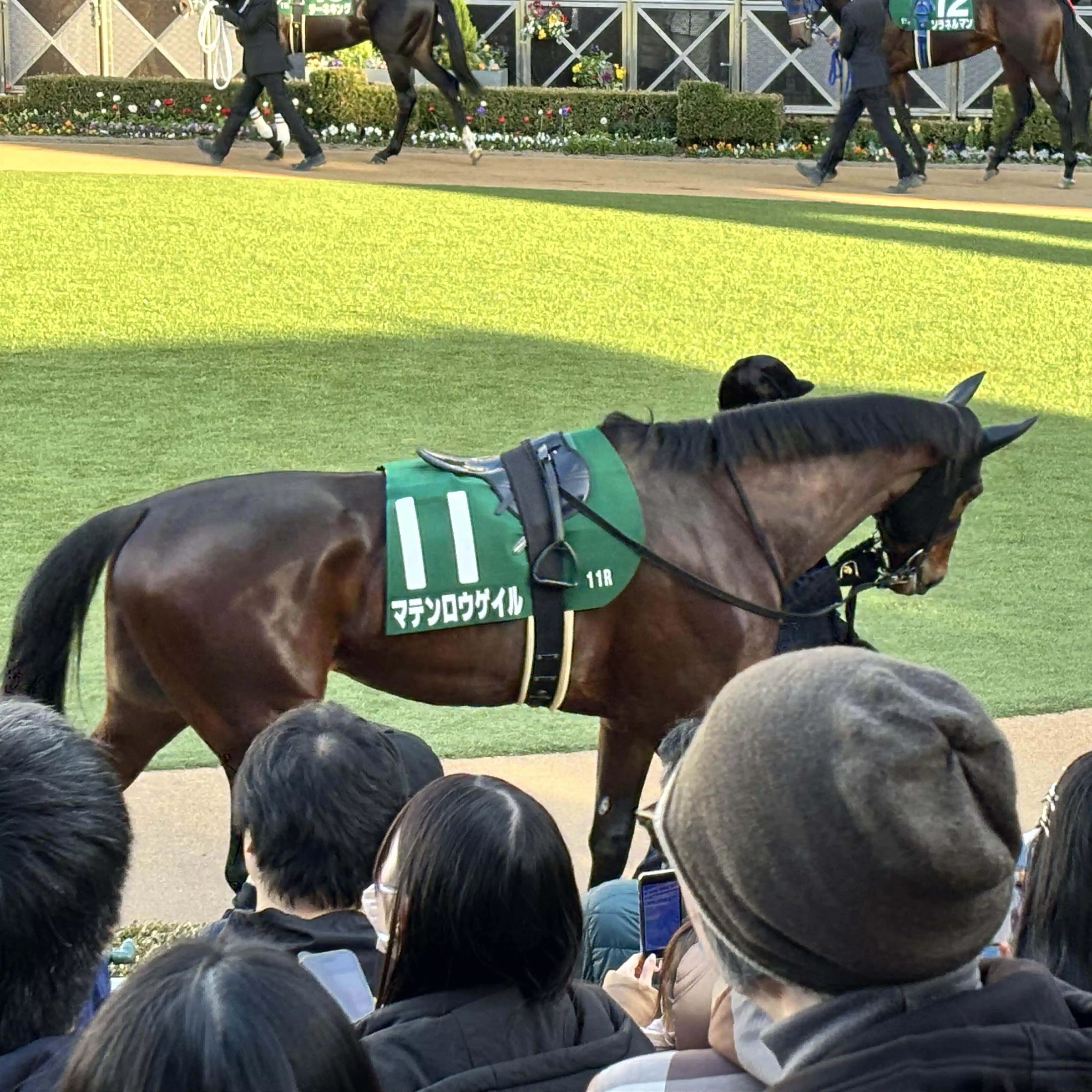 赤目の達磨の叔父貴