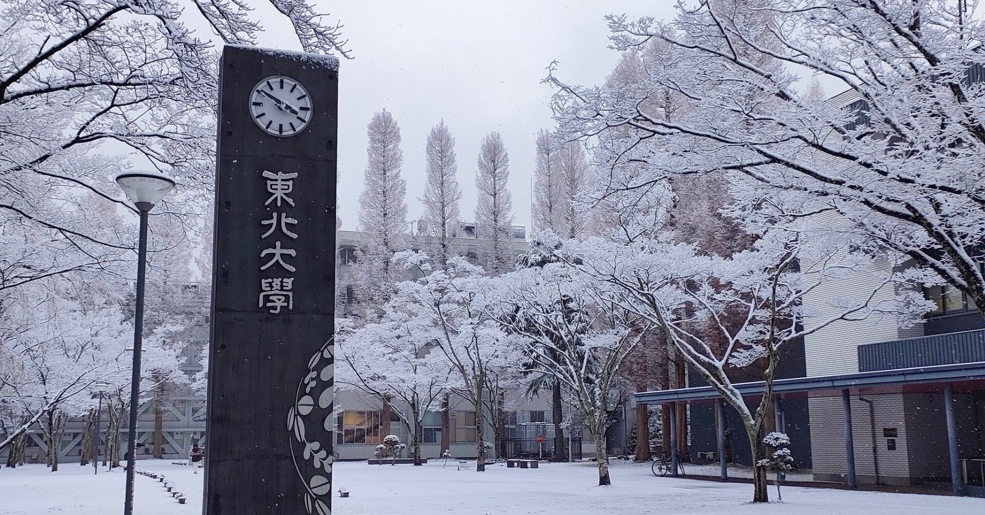 東北大学過去問成績や模試成績など｜まっきー