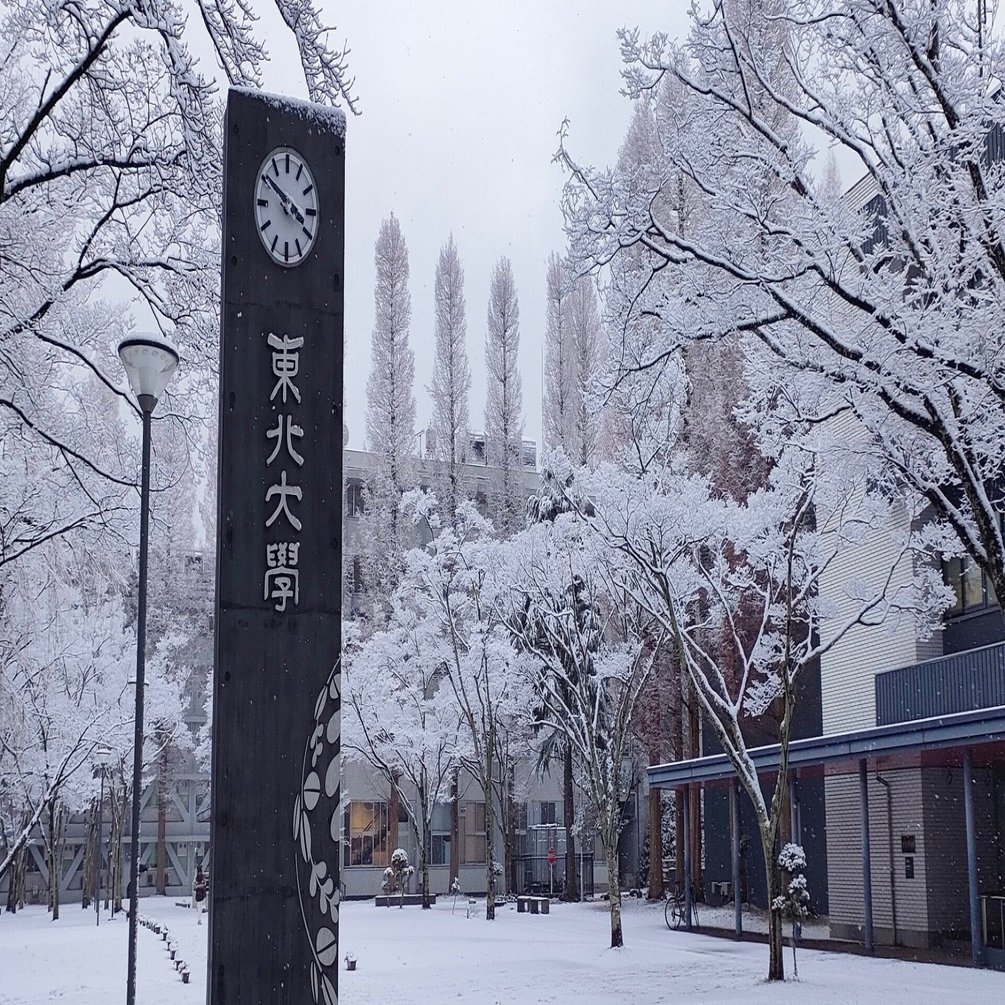 東北大学過去問成績や模試成績など｜まっきー
