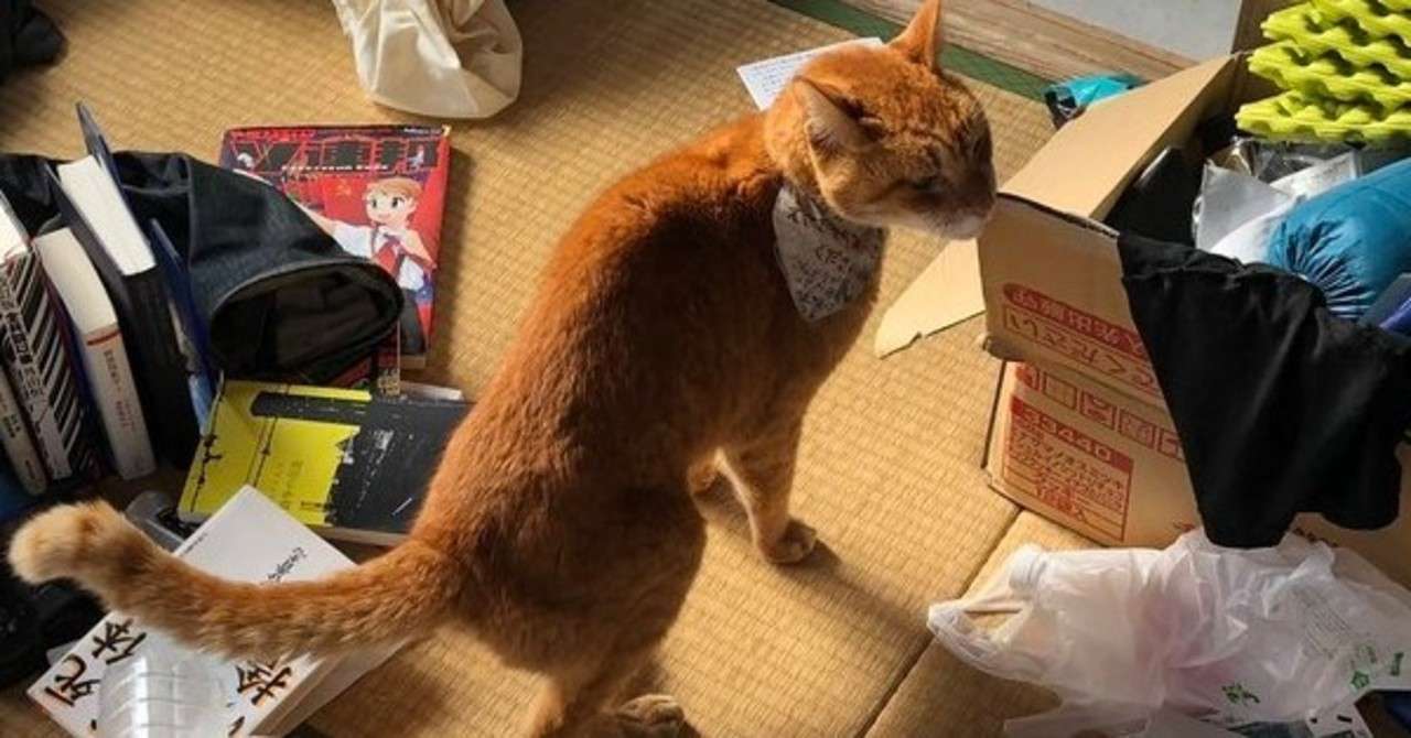 マイナスから始めたぬか床の記録 20200415 20200502 生まれなかった都市 Note