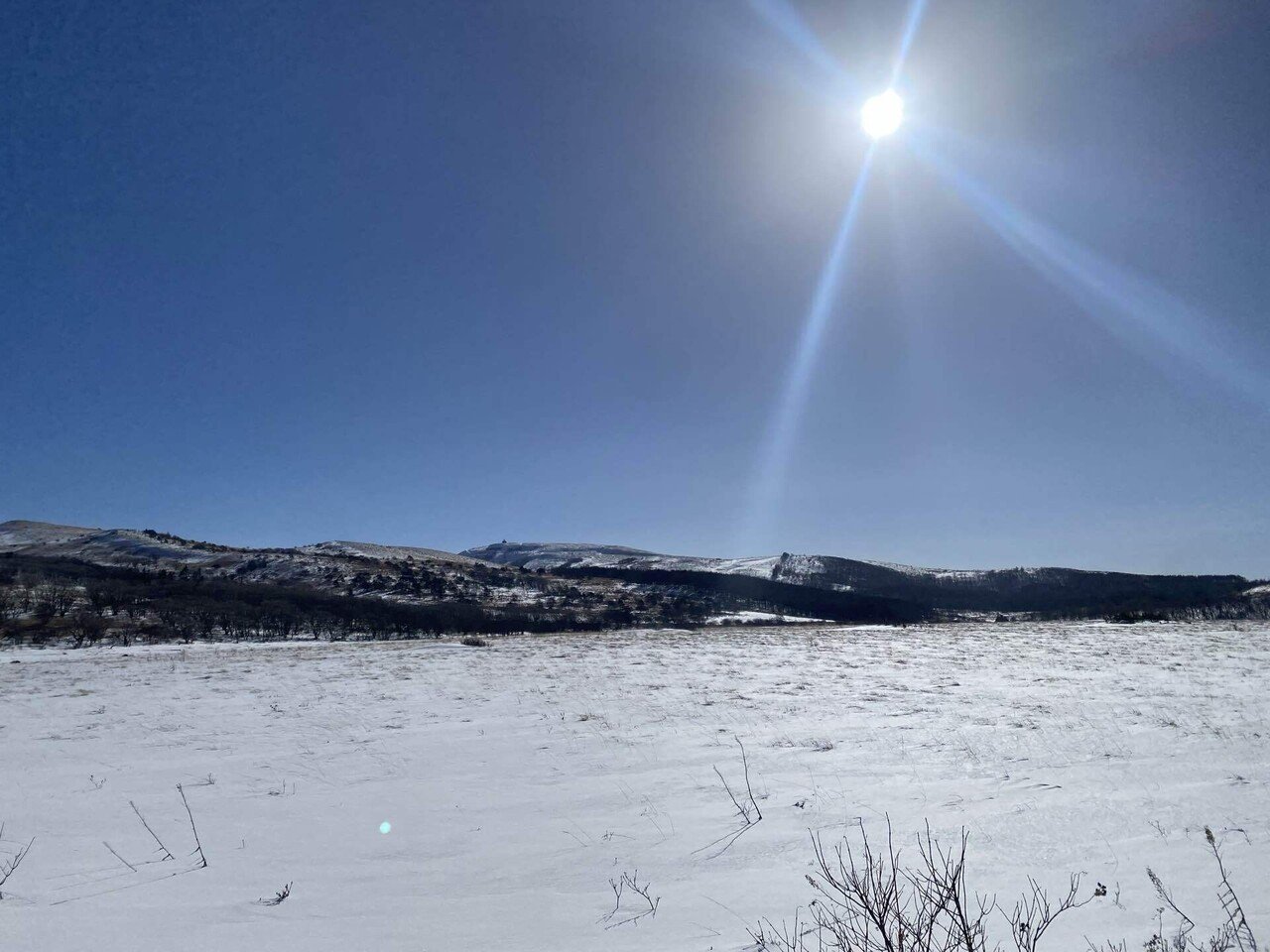 山小屋 2026.01.17｜daen / Momo Honjo