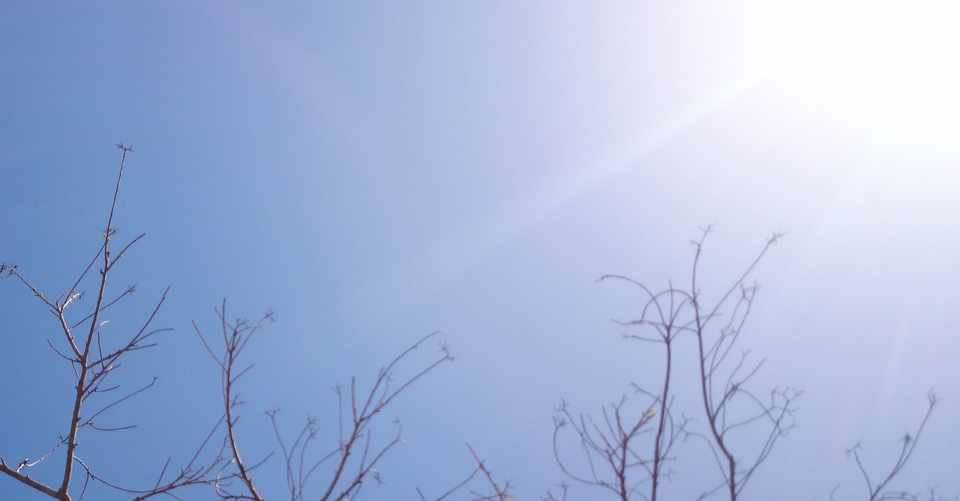 春はもうおわりかけてるのに あーね Ah Ne Note