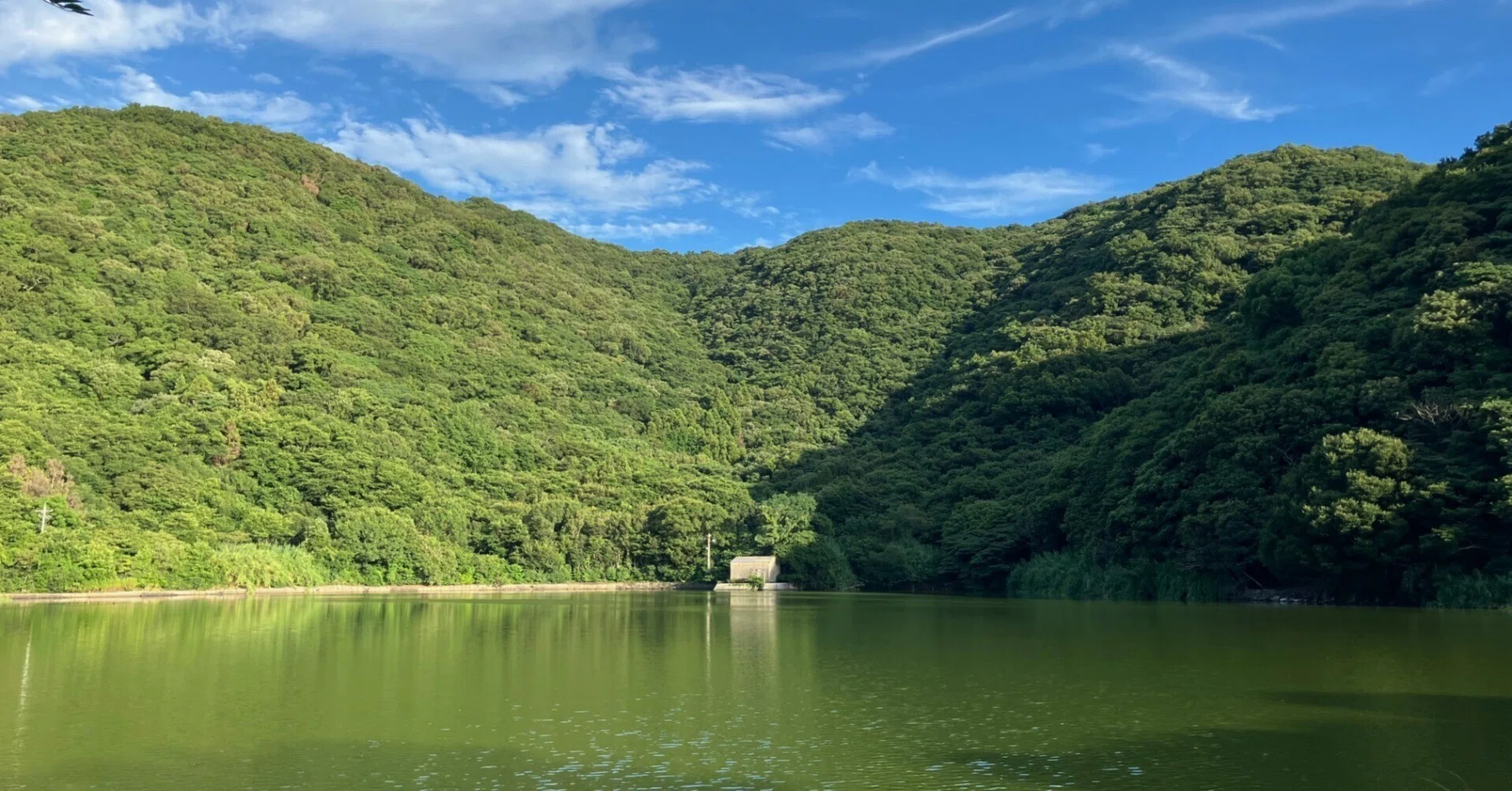 瀬戸内の島の秘境。神秘の池「蛇の池」～平郡三景その②｜移住定住
