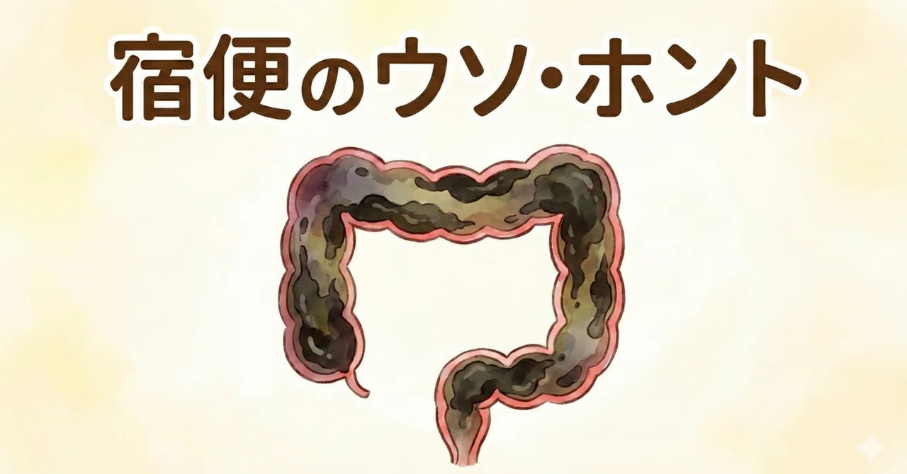 宿便のウソ・ホント｜りえ|からだめぐる栄養アドバイザー