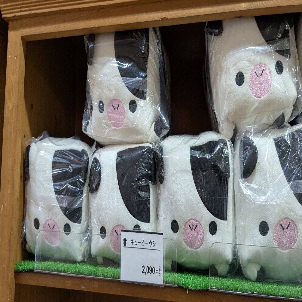 BeReal は国政選挙に使える ◇ 水曜日の湯葉215｜柞刈湯葉