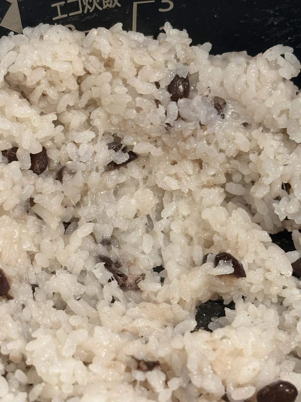海外在住】シドニーでお赤飯(VIVANTのせい)食べたくなったので「最安