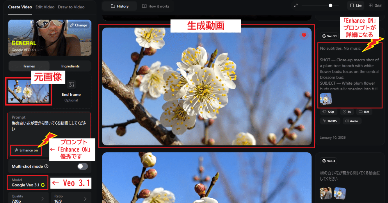 第144回 新春に白梅ひらく 撮影写真からAI動画制作 HiggsField 動画