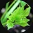 MIDORI