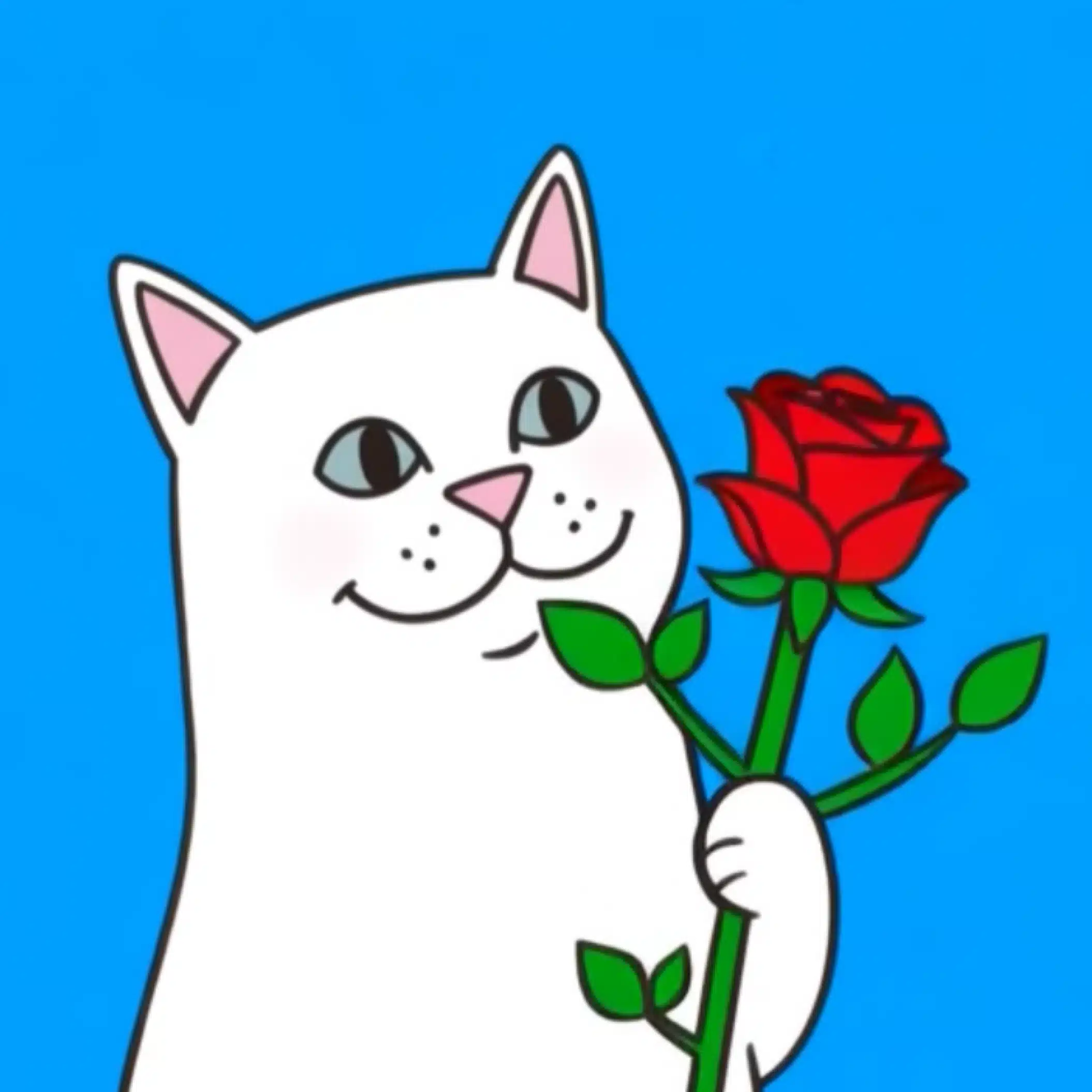 たらちゃん
