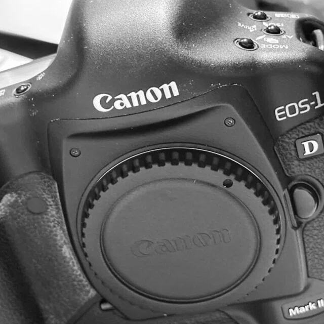 Canon 1D Mark II Nっていう豪華な遊び相手。｜sugarkrone