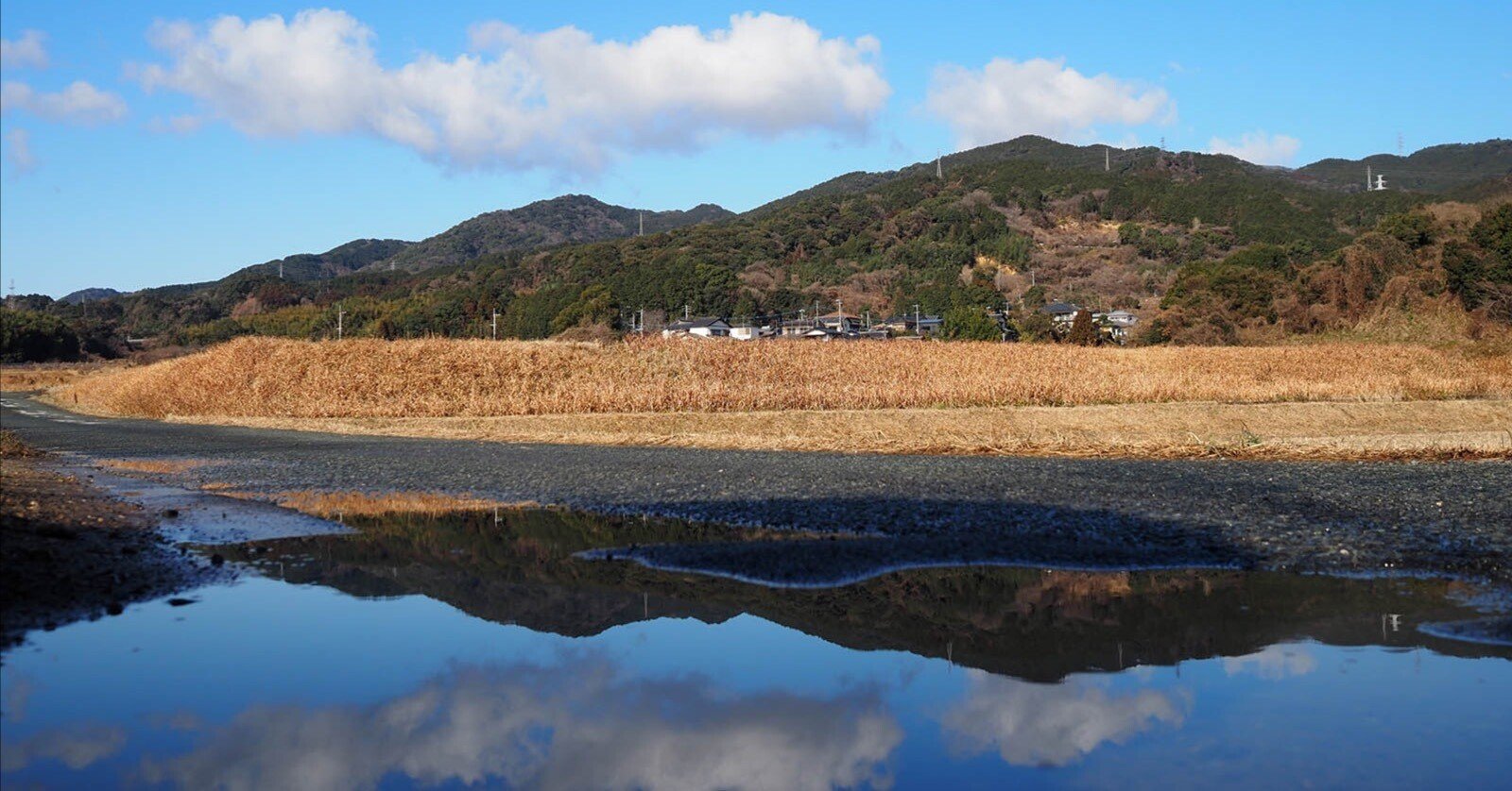 PEN E-P7の「かろやかさ」を楽しむ｜坂本竜男