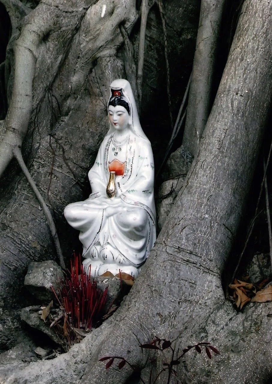 画像9