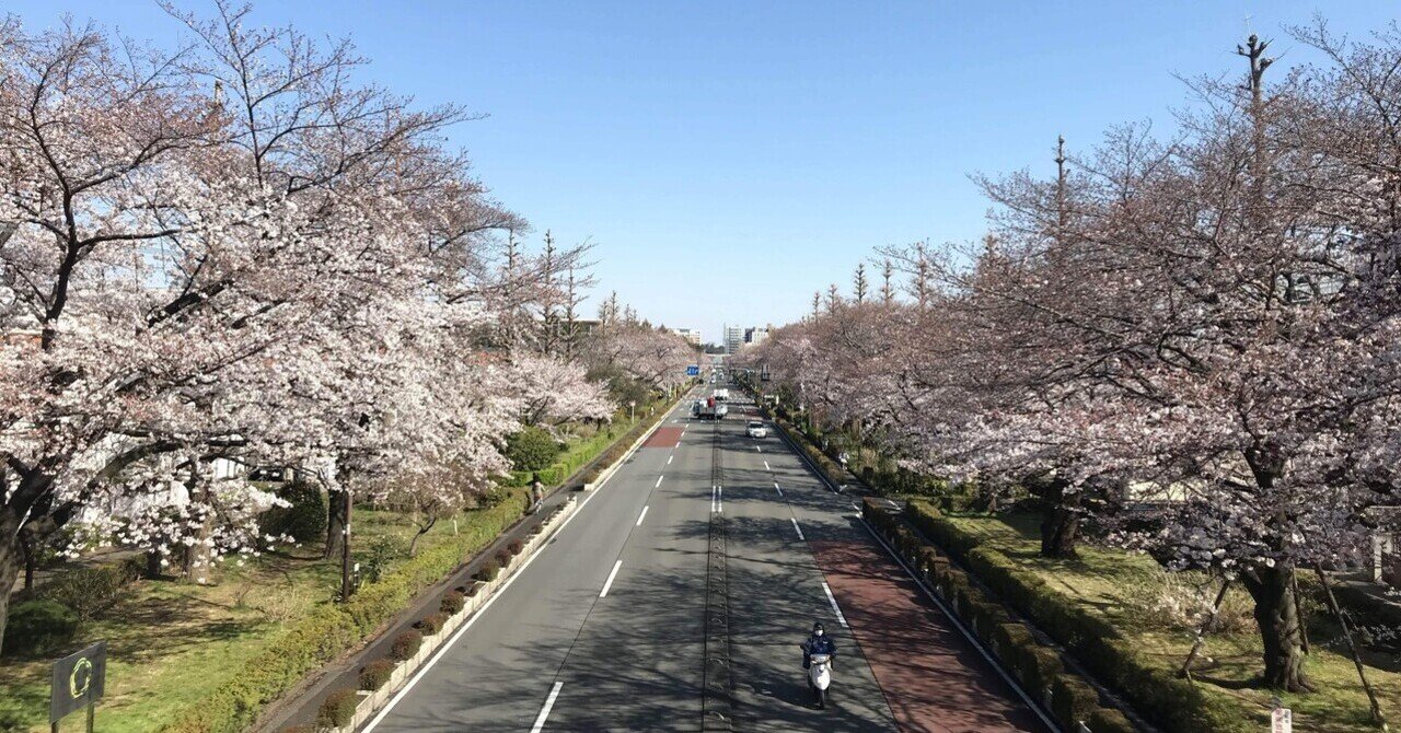 この駅がすき｜初めての一人暮らし〜谷保  国立の思い出〜｜キンモクスイのサムネイル画像