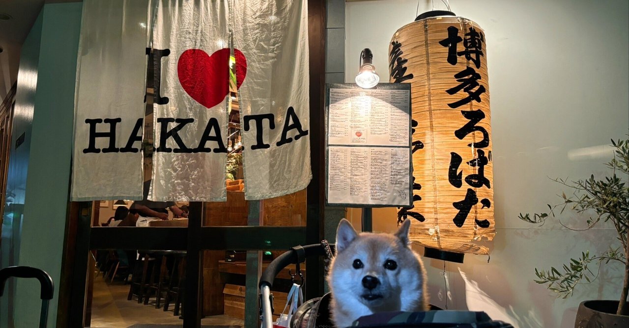 【福岡県・薬院駅】博多炉端 魚男 フィッシュマン(FISHMAN)｜豆柴コマルのサムネイル画像