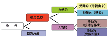 ダウンロード