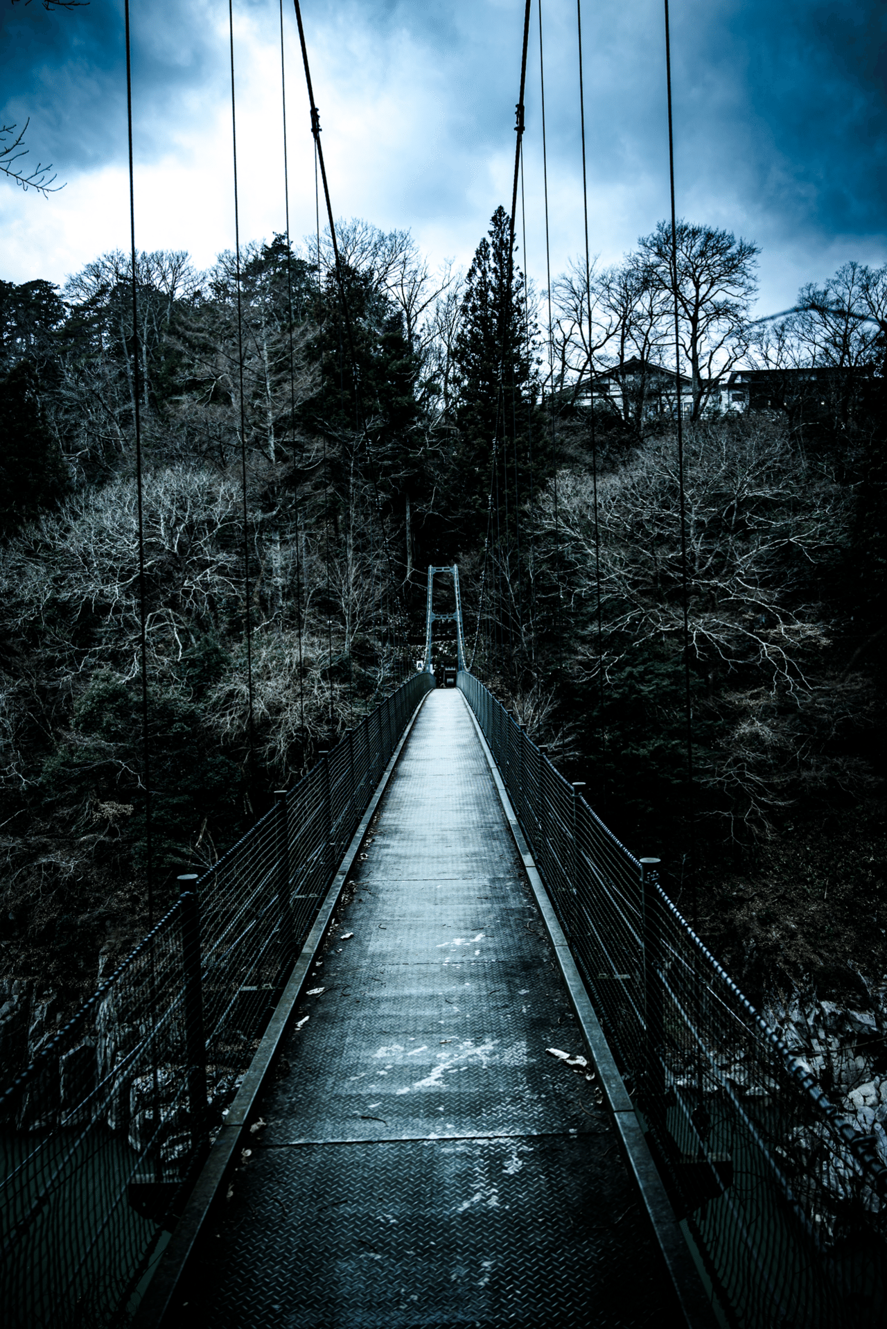 Nikkor Z 28-400mm f4-8 VR 購入した結果｜くろどん │ 育児と写真