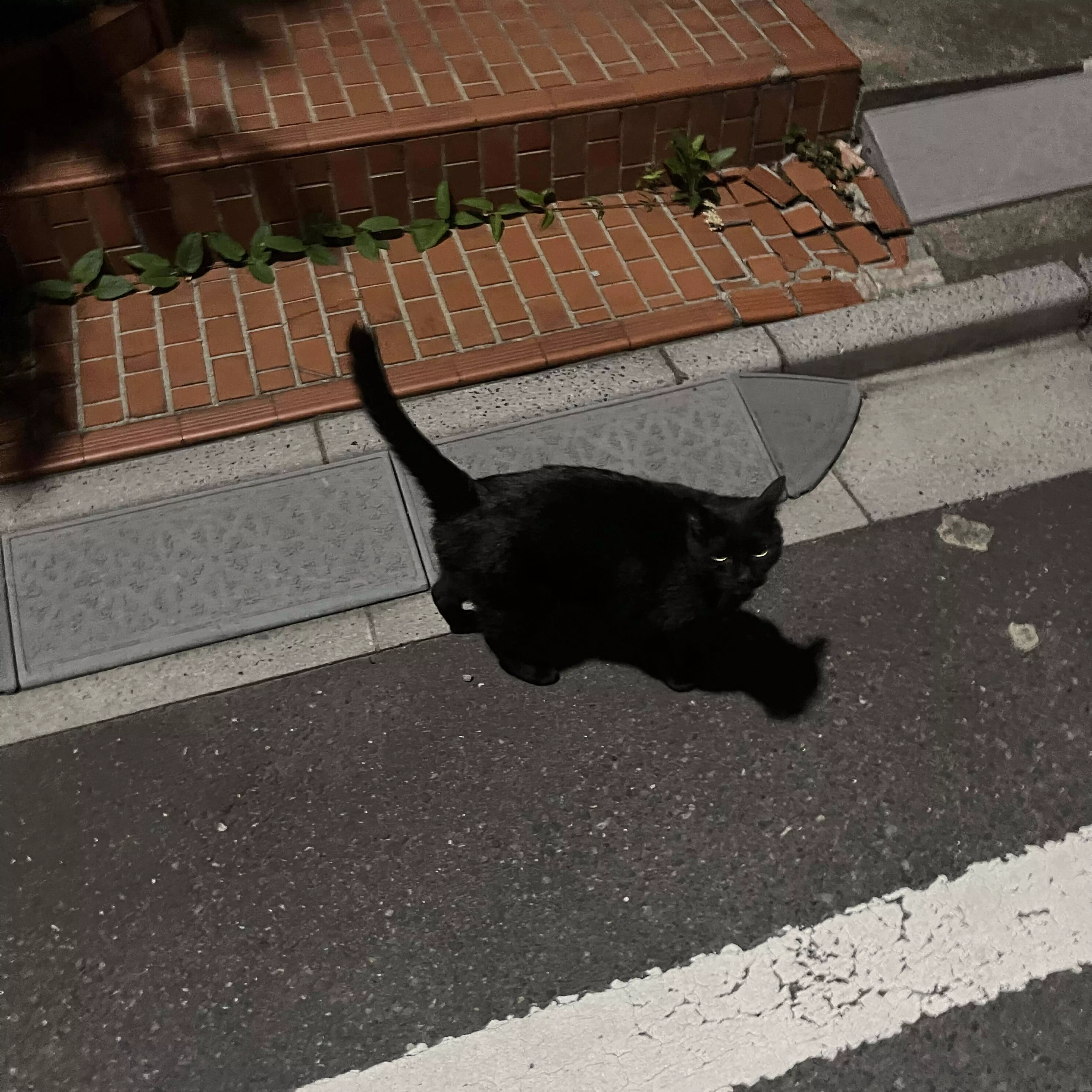 kitagawa