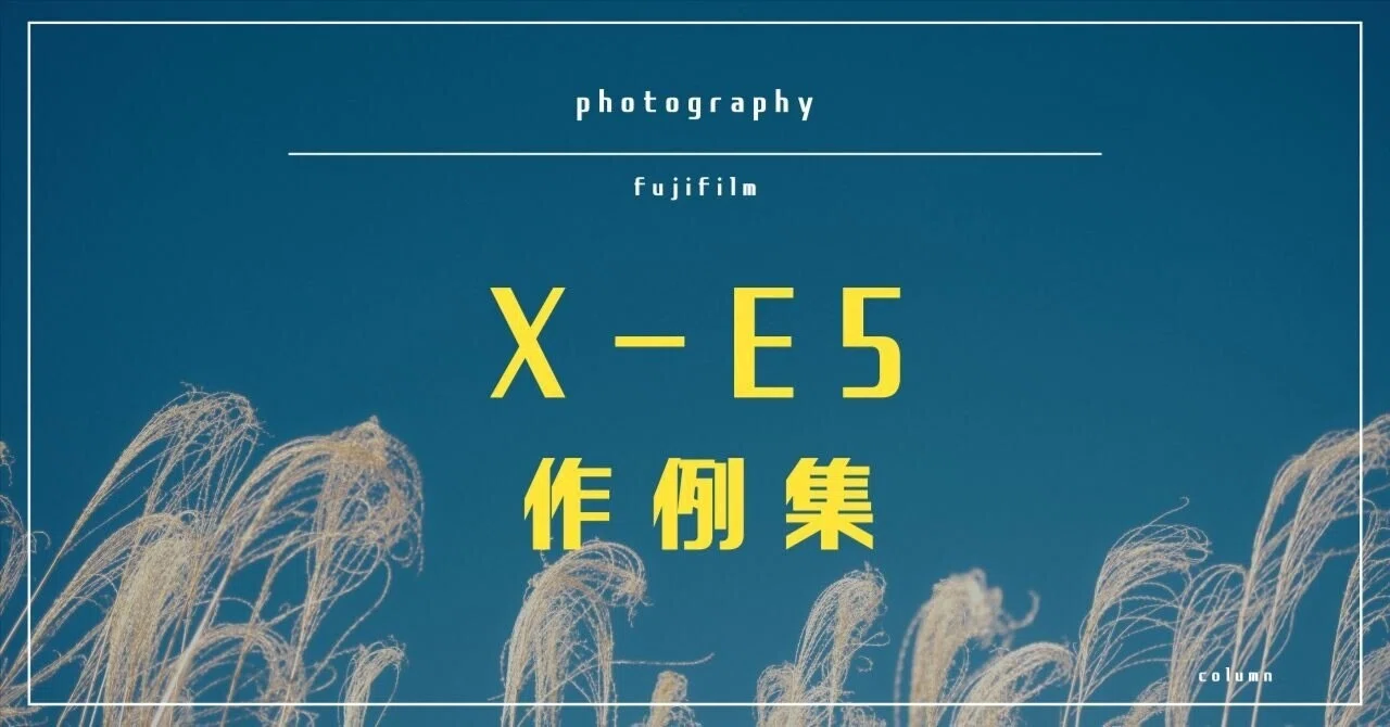 作例超大量】X-E5で撮影した作例を淡々と貼っていく。｜中澤紘大 ||写真家