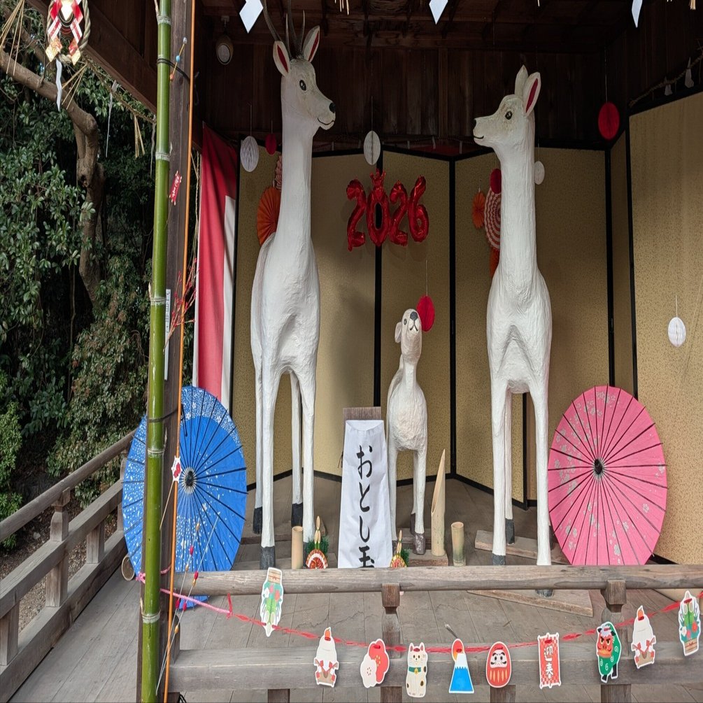 たくさん歩く(砥鹿神社・里宮)#669｜やん（矢野達也）